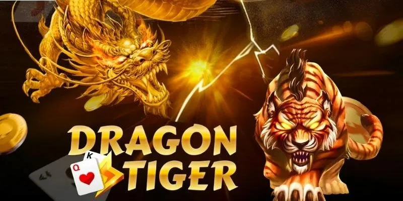Lợi ích khi lựa chọn Rồng Hổ TD88